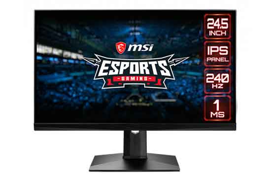 MSI MAG 251RX